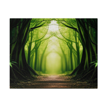 Nature Tunnel Path Matte Canvas, Stretched, 0.75"