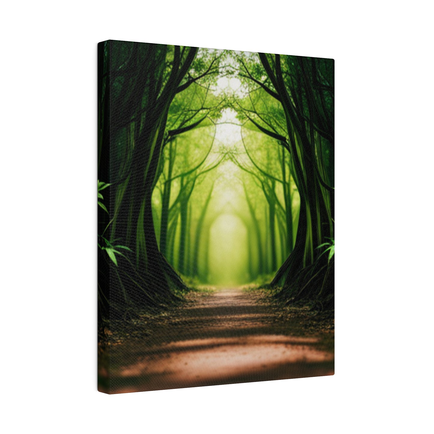 Nature Tunnel Path Matte Canvas, Stretched, 0.75"