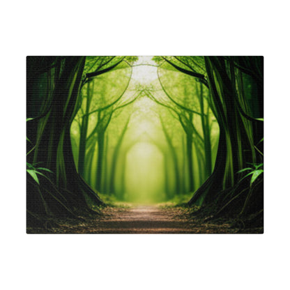 Nature Tunnel Path Matte Canvas, Stretched, 0.75"